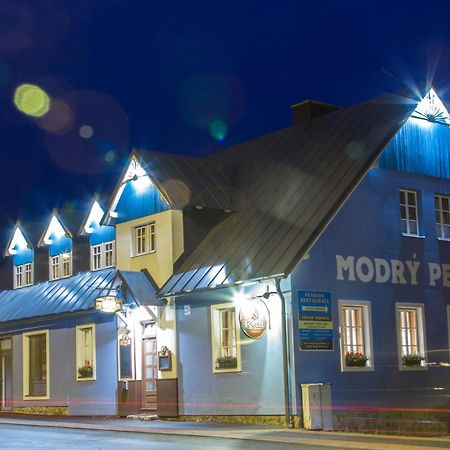 Modry Pension Rokytnice 捷克布杰约维采 外观 照片
