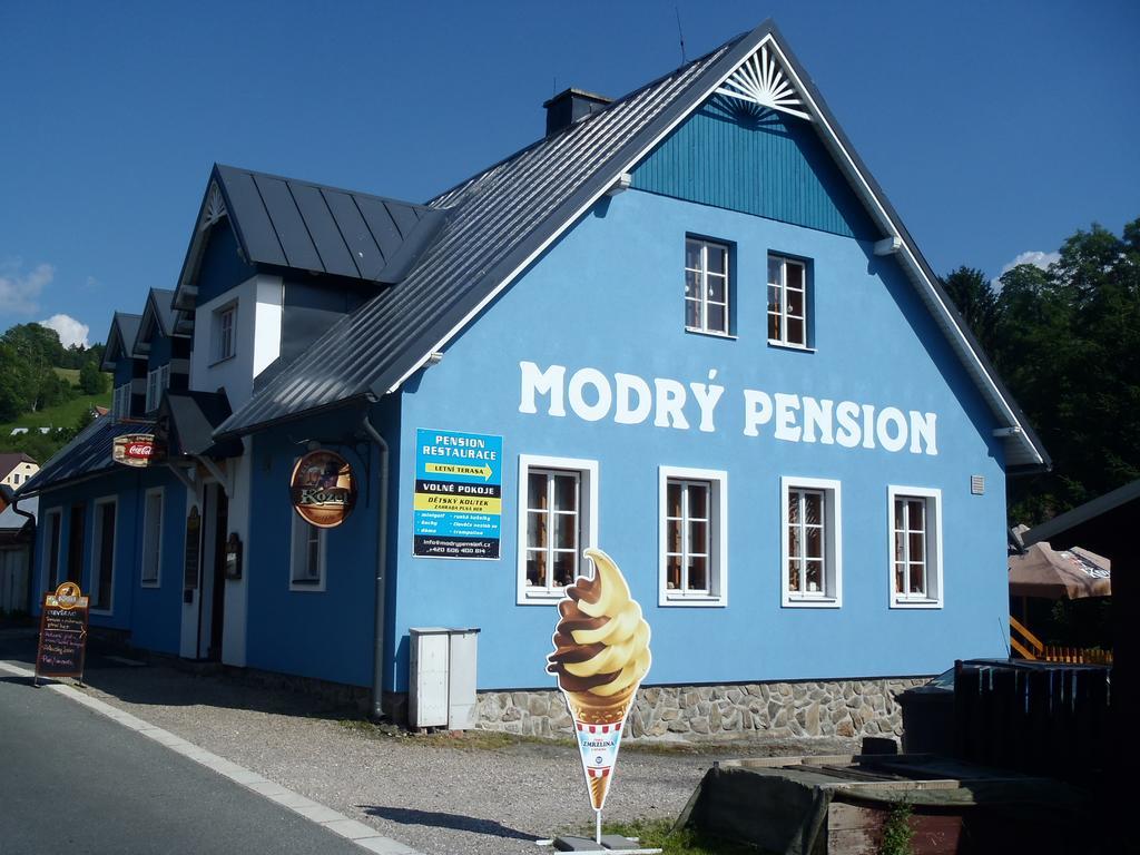 Modry Pension Rokytnice 捷克布杰约维采 外观 照片